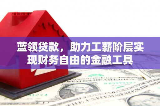 台西蓝领贷款，助力工薪阶层实现财务自由的金融工具