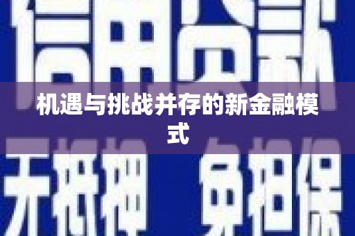 台西机遇与挑战并存的新金融模式