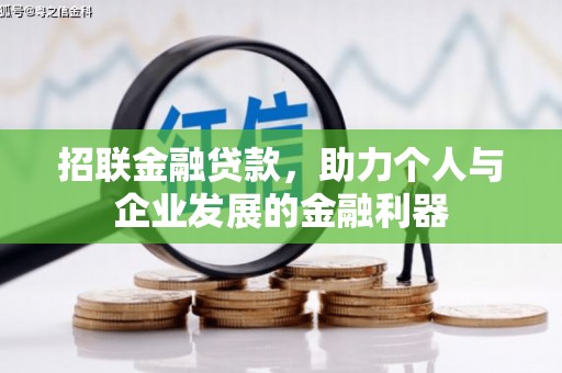 台西招联金融贷款，助力个人与企业发展的金融利器