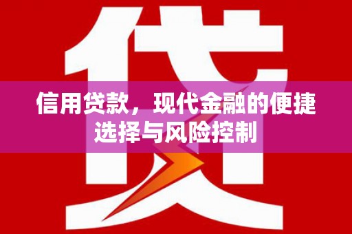 台西信用贷款，现代金融的便捷选择与风险控制