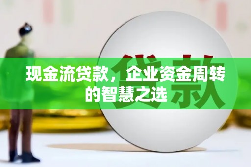 台西现金流贷款，企业资金周转的智慧之选