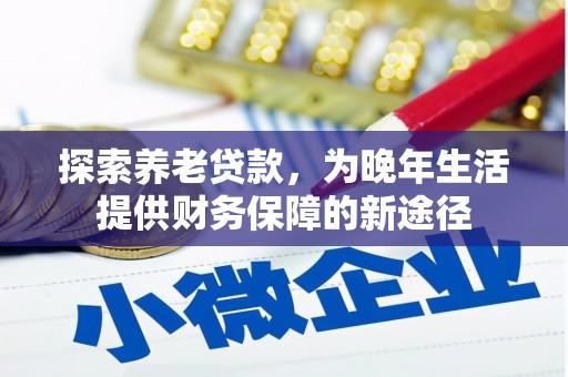 台西探索养老贷款，为晚年生活提供财务保障的新途径