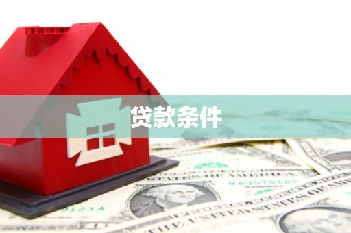 台西贷款条件