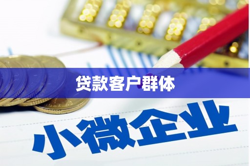 台西贷款客户群体