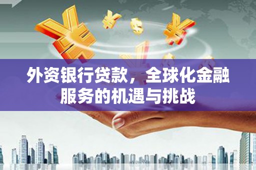 台西外资银行贷款，全球化金融服务的机遇与挑战