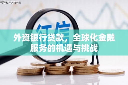 台西外资银行贷款，全球化金融服务的机遇与挑战