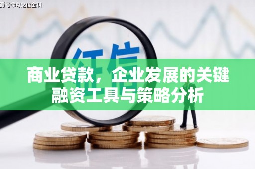 台西商业贷款，企业发展的关键融资工具与策略分析