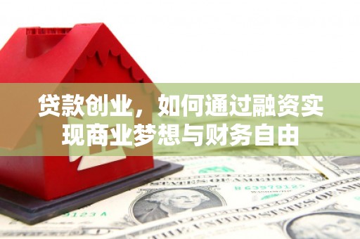 台西贷款创业，如何通过融资实现商业梦想与财务自由