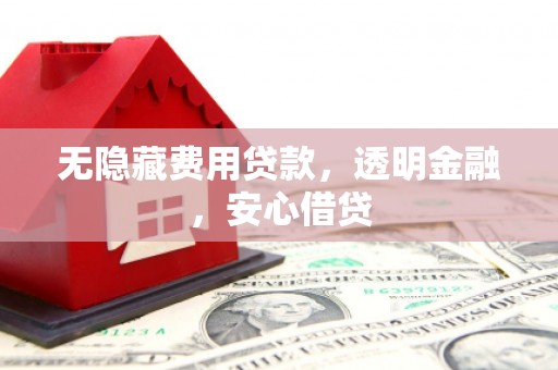 台西无隐藏费用贷款，透明金融，安心借贷