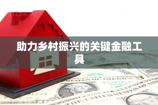 台西助力乡村振兴的关键金融工具
