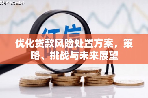 台西优化贷款风险处置方案，策略、挑战与未来展望