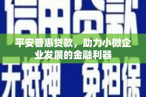 台西平安普惠贷款，助力小微企业发展的金融利器