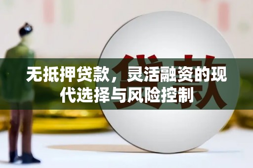 台西无抵押贷款，灵活融资的现代选择与风险控制