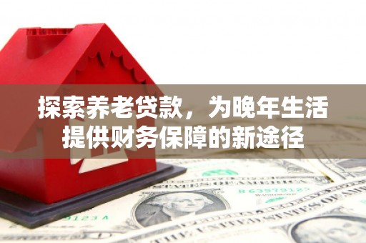 台西探索养老贷款，为晚年生活提供财务保障的新途径