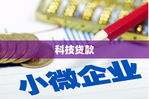 台西科技贷款