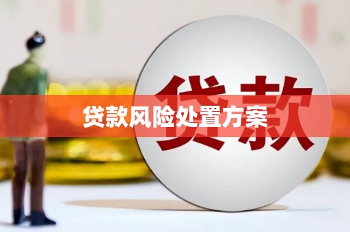 台西贷款风险处置方案