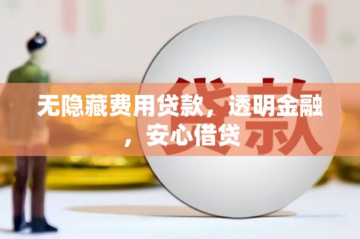 台西无隐藏费用贷款，透明金融，安心借贷