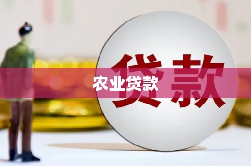 台西农业贷款