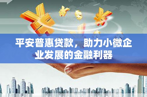 台西平安普惠贷款，助力小微企业发展的金融利器
