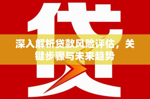 台西深入解析贷款风险评估，关键步骤与未来趋势