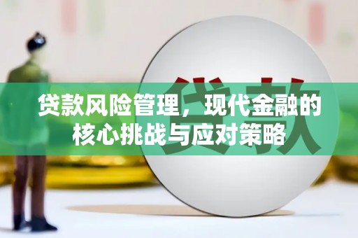 台西贷款风险管理，现代金融的核心挑战与应对策略