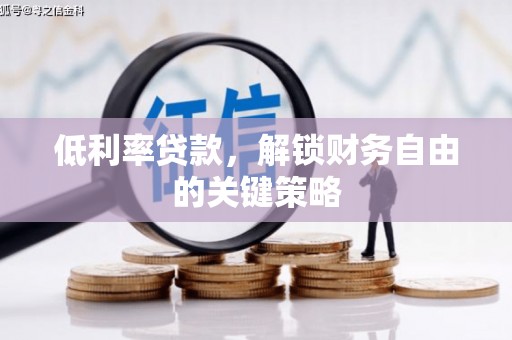 台西低利率贷款，解锁财务自由的关键策略
