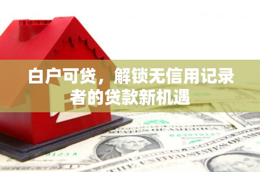 台西白户可贷，解锁无信用记录者的贷款新机遇