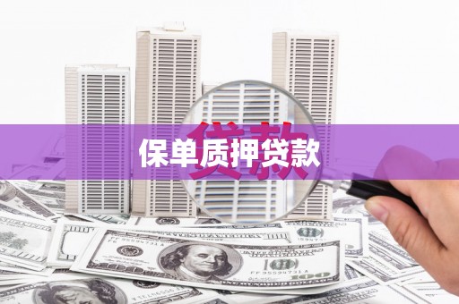 台西保单质押贷款