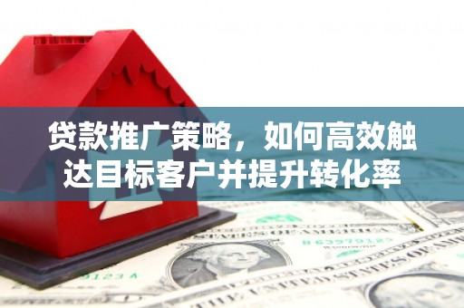 台西贷款推广策略，如何高效触达目标客户并提升转化率