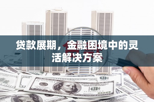 台西贷款展期，金融困境中的灵活解决方案