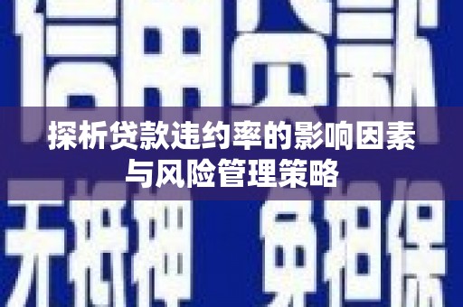 台西探析贷款违约率的影响因素与风险管理策略