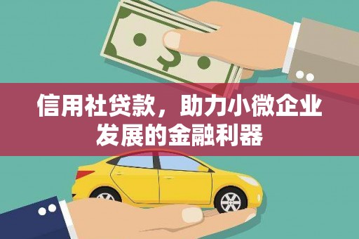 台西信用社贷款，助力小微企业发展的金融利器