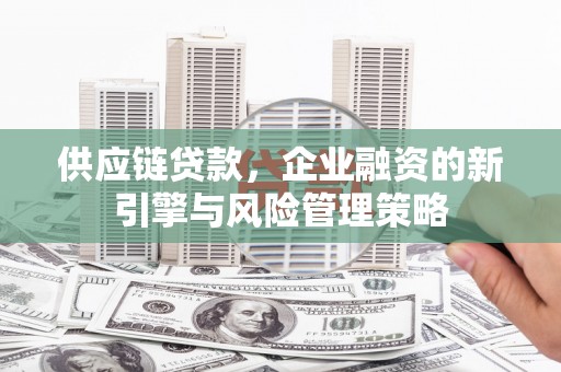 台西供应链贷款，企业融资的新引擎与风险管理策略