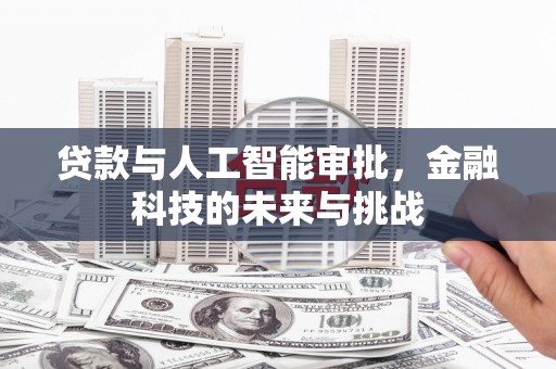 台西贷款与人工智能审批，金融科技的未来与挑战
