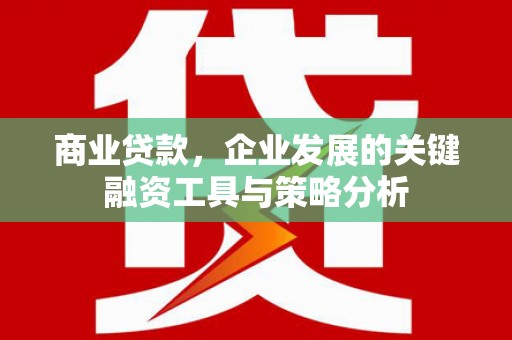 台西商业贷款，企业发展的关键融资工具与策略分析