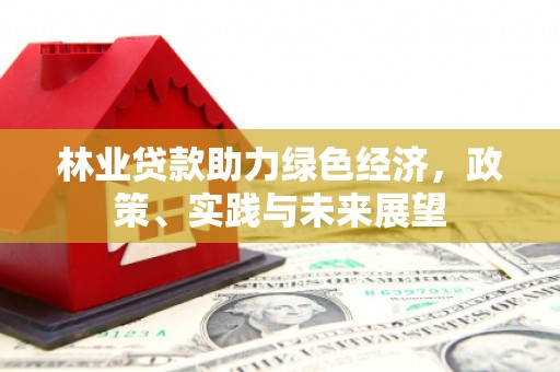 台西林业贷款助力绿色经济，政策、实践与未来展望