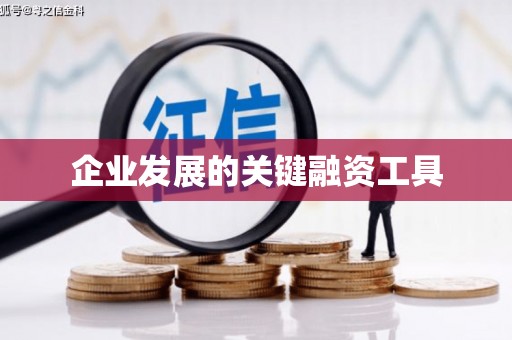 台西企业发展的关键融资工具