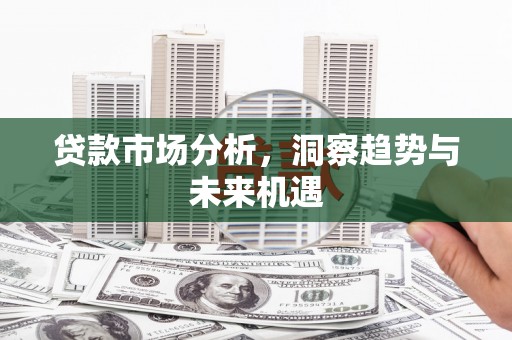 台西贷款市场分析，洞察趋势与未来机遇