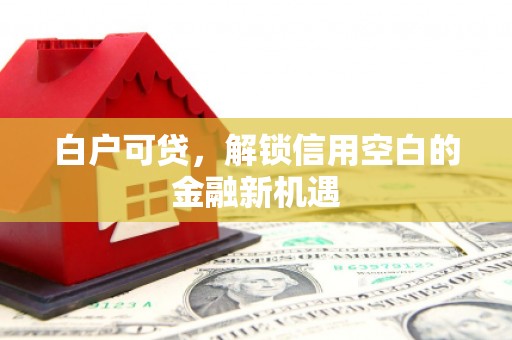 台西白户可贷，解锁信用空白的金融新机遇