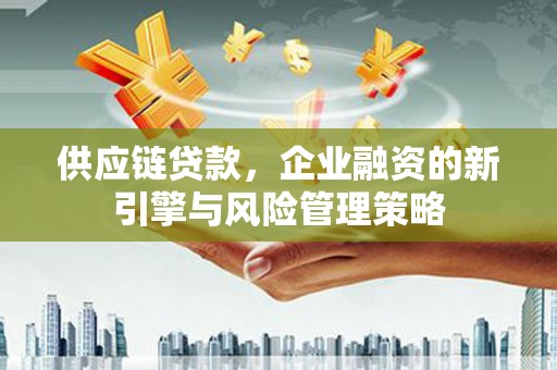 台西供应链贷款，企业融资的新引擎与风险管理策略
