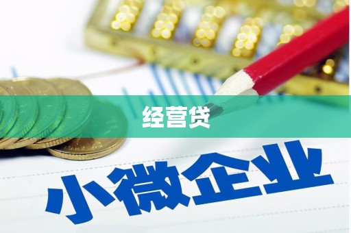 台西经营贷
