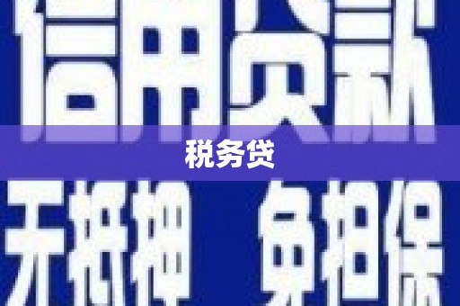 台西税务贷