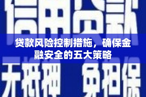 台西贷款风险控制措施，确保金融安全的五大策略