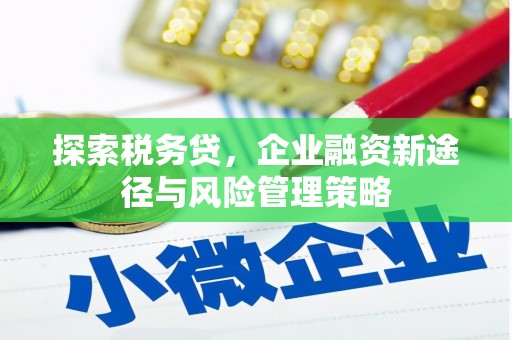 台西探索税务贷，企业融资新途径与风险管理策略