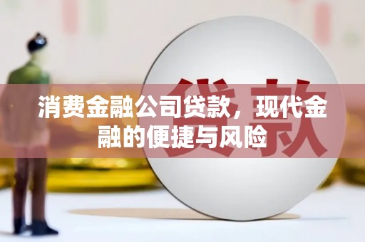台西消费金融公司贷款，现代金融的便捷与风险