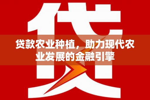台西贷款农业种植，助力现代农业发展的金融引擎