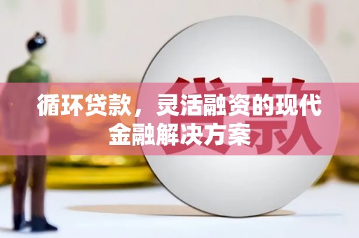 台西循环贷款，灵活融资的现代金融解决方案