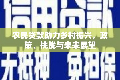 台西农民贷款助力乡村振兴，政策、挑战与未来展望