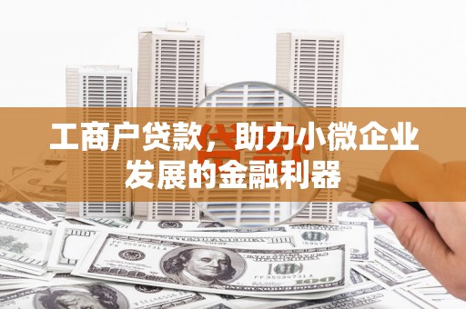 台西工商户贷款，助力小微企业发展的金融利器