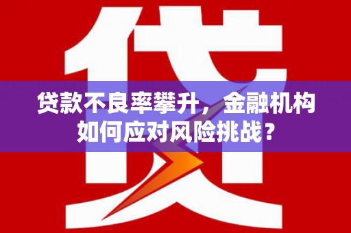 台西贷款不良率攀升，金融机构如何应对风险挑战？